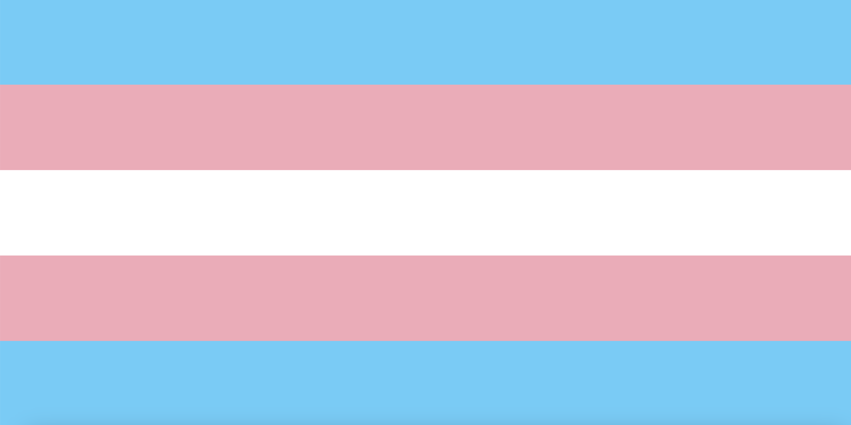 trans pride flag